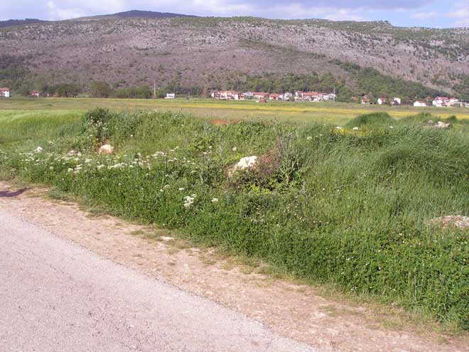 p4280345-prije-akcije p4280345-prije-akcije