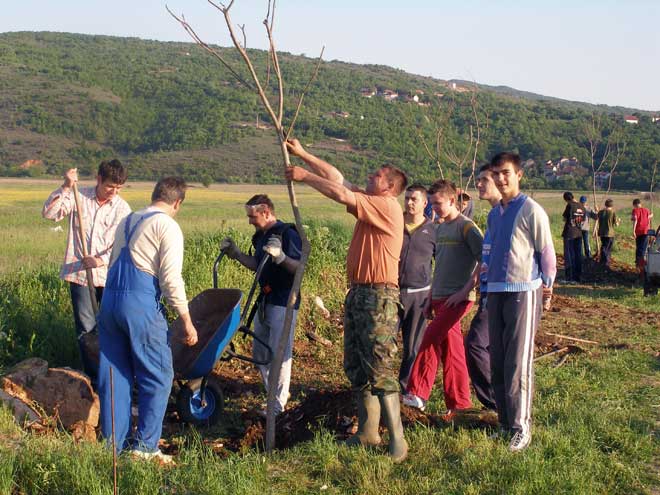 p4280370.jpg p4280370.jpg