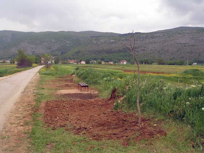 p4290387-mod p4290387-mod