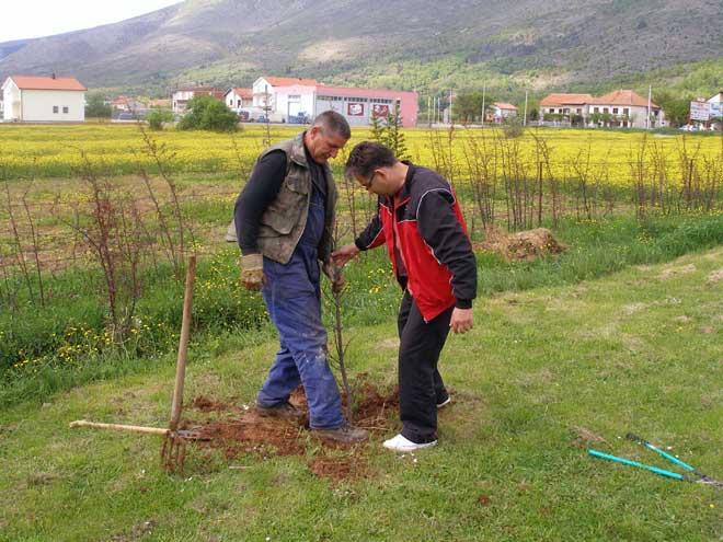 p4260280.jpg p4260280.jpg