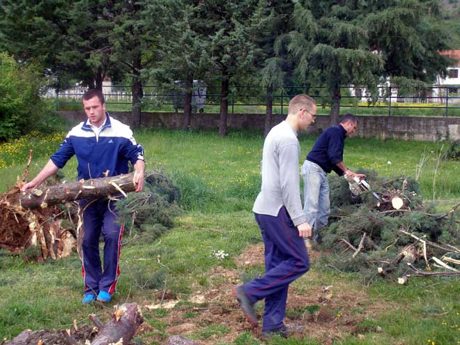 p4260281.jpg p4260281.jpg