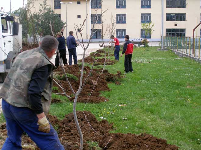 p4260285.jpg p4260285.jpg