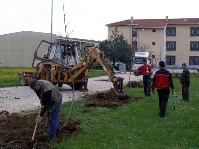 p4260299.jpg p4260299.jpg