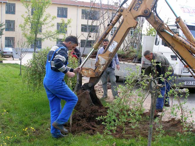 p4260314.jpg p4260314.jpg