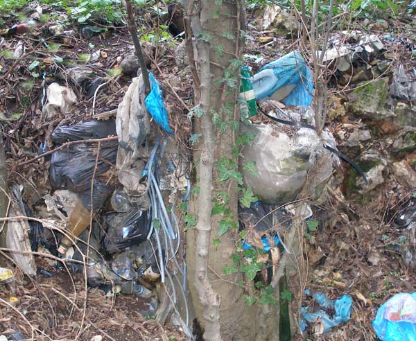 simbioza.jpg simbioza.jpg