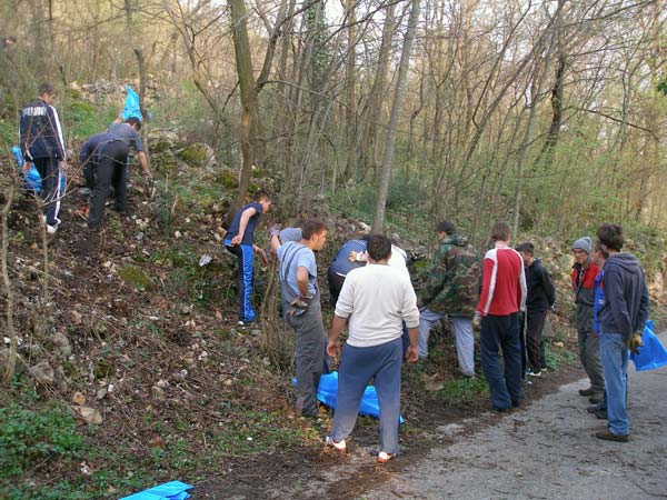 volonteri-4.jpg volonteri-4.jpg