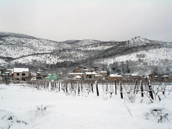 vl2.jpg vl2.jpg