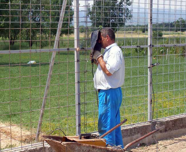 levi-vari.jpg levi-vari.jpg