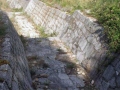 draga-1