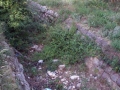draga-2