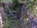 draga-3