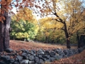 ctstonewall