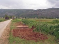 p4290387-mod