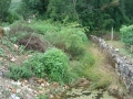 dsc01703