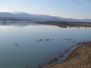 poplave