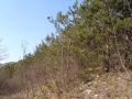 slika-9