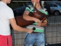 soviko_lito_2012_20120811_1417193046